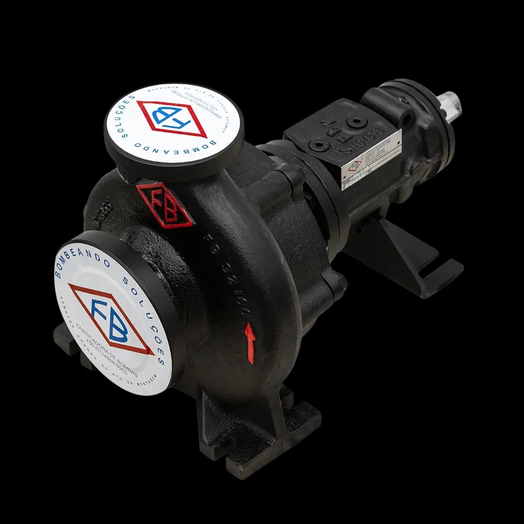 Dibujo técnico isométrico de la bomba FBOT para aceite térmico — carcasa, sello mecánico y acoplamiento visibles